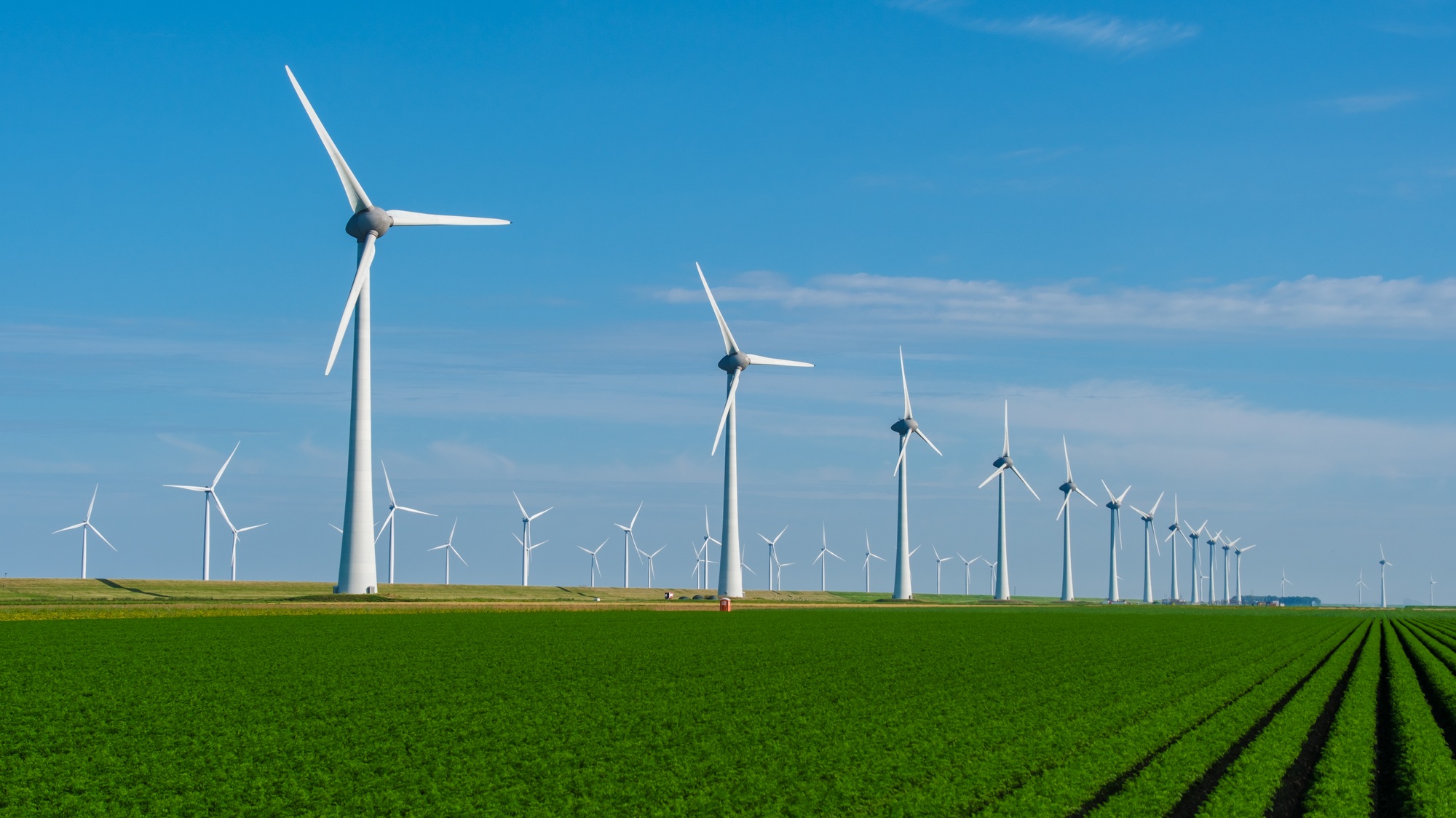 Wind Energy Harvesting at Dusk in the Netherlands With Turbines Illuminated by Setting Sun